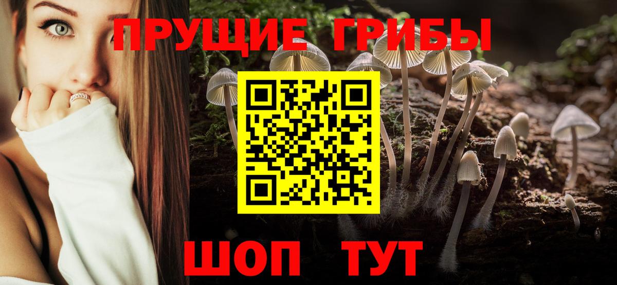 Галлюциногенные грибы Cubensis Реутов