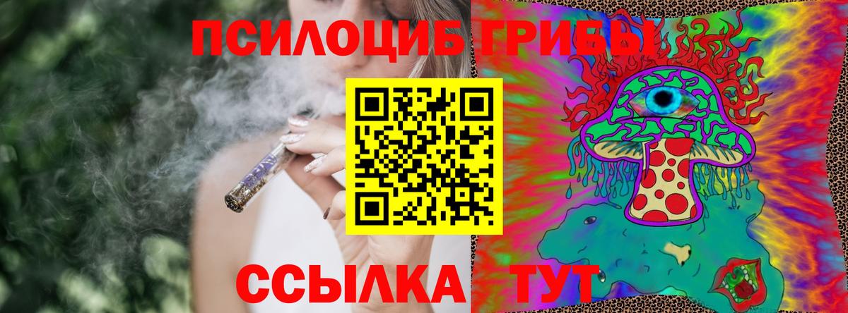 Псилоцибиновые грибы мицелий  Галлюциногенные грибы Psilocybine cubensis  Реутов  Вход с VPN 